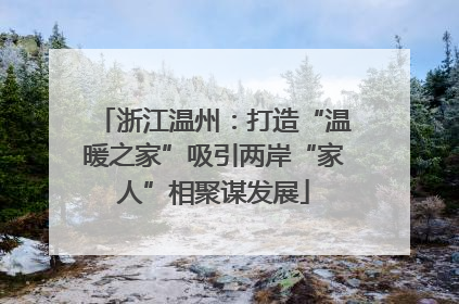 浙江温州：打造“温暖之家”吸引两岸“家人”相聚谋发展
