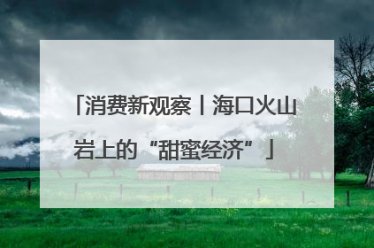 消费新观察丨海口火山岩上的“甜蜜经济”