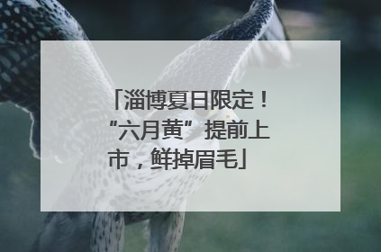 淄博夏日限定！“六月黄”提前上市，鲜掉眉毛