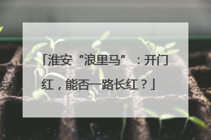 淮安“浪里马”：开门红，能否一路长红？