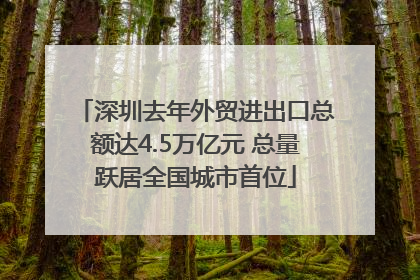 深圳去年外贸进出口总额达4.5万亿元 总量跃居全国城市首位