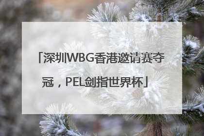 深圳WBG香港邀请赛夺冠，PEL剑指世界杯