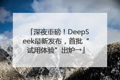 深夜重磅！DeepSeek最新发布，首批“试用体验”出炉→
