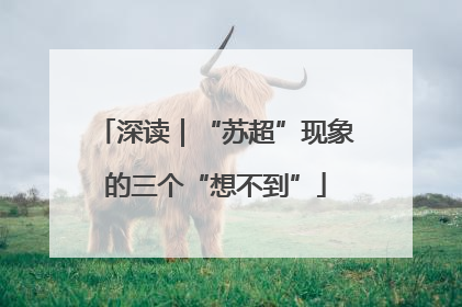 深读｜“苏超”现象的三个“想不到”