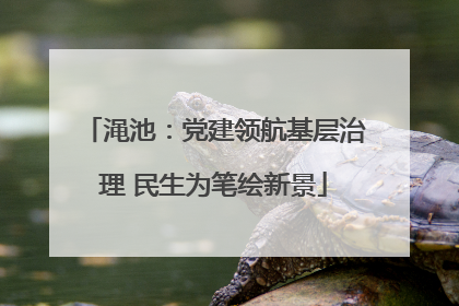 渑池：党建领航基层治理 民生为笔绘新景