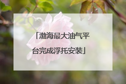 渤海最大油气平台完成浮托安装