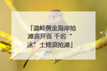 温岭黄金海岸抢滩赛开赛 千名“泳”士搏浪抢滩