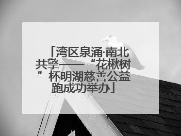 湾区泉涌·南北共擎——“花楸树”杯明湖慈善公益跑成功举办