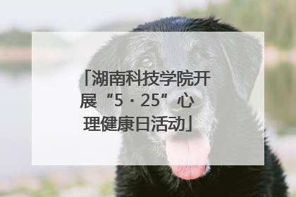 湖南科技学院开展“5・25”心理健康日活动