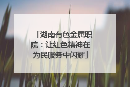湖南有色金属职院：让红色精神在为民服务中闪耀