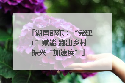 湖南邵东：“党建+”赋能 跑出乡村振兴“加速度”