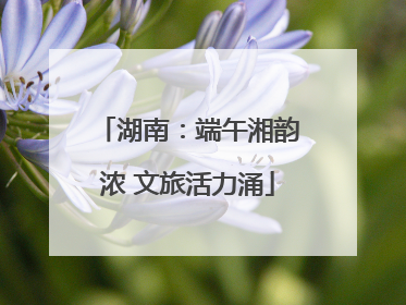 湖南：端午湘韵浓 文旅活力涌