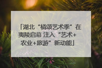 湖北“橘颂艺术季”在夷陵启幕 注入“艺术+农业+旅游”新动能