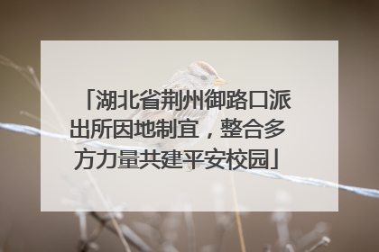 湖北省荆州御路口派出所因地制宜，整合多方力量共建平安校园
