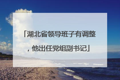湖北省领导班子有调整，他出任党组副书记