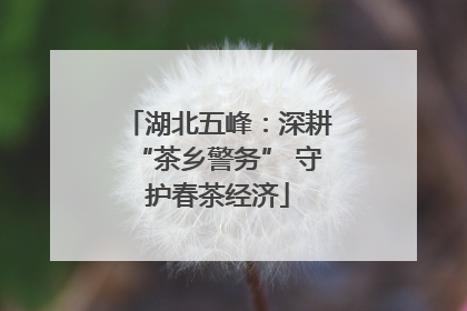 湖北五峰：深耕“茶乡警务” 守护春茶经济