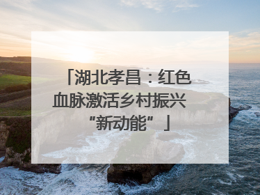 湖北孝昌：红色血脉激活乡村振兴“新动能”