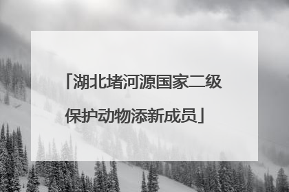 湖北堵河源国家二级保护动物添新成员