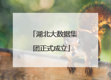 湖北大数据集团正式成立
