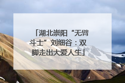 湖北崇阳“无臂斗士”刘细谷：双脚走出大爱人生