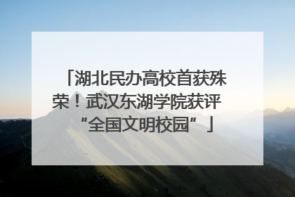 湖北民办高校首获殊荣！武汉东湖学院获评“全国文明校园”