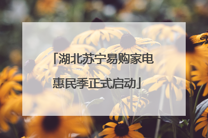 湖北苏宁易购家电惠民季正式启动