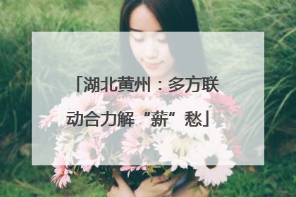 湖北黄州：多方联动合力解“薪”愁