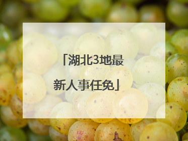 湖北3地最新人事任免