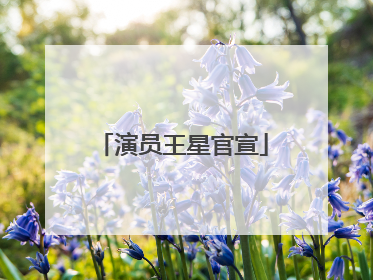 演员王星官宣