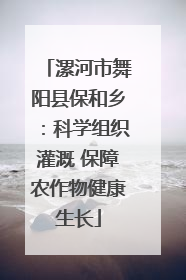 漯河市舞阳县保和乡：科学组织灌溉 保障农作物健康生长