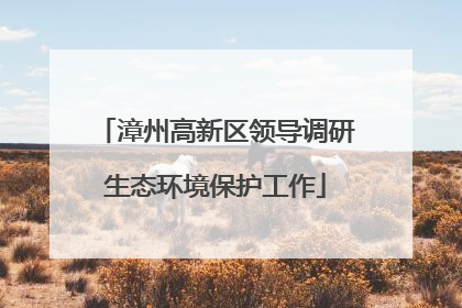 漳州高新区领导调研生态环境保护工作