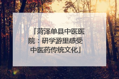 菏泽单县中医医院：研学游里感受中医药传统文化