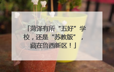 菏泽有所“五好”学校，还是“苏教版”，藏在鲁西新区！