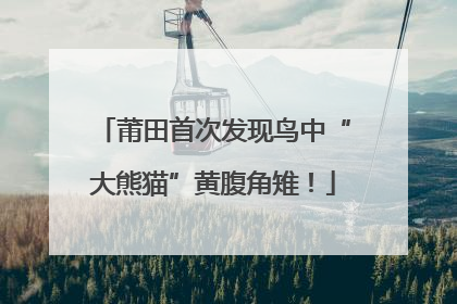 莆田首次发现鸟中“大熊猫”黄腹角雉！