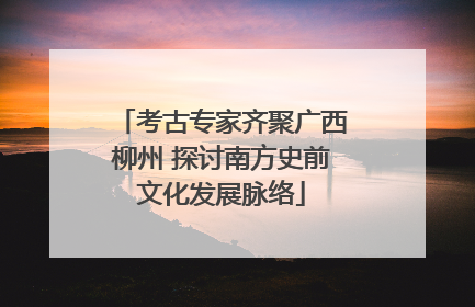 考古专家齐聚广西柳州 探讨南方史前文化发展脉络