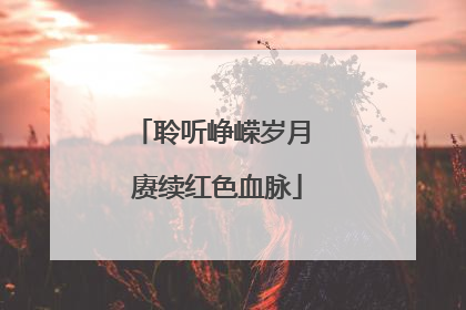 聆听峥嵘岁月 赓续红色血脉