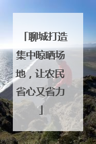 聊城打造集中晾晒场地，让农民省心又省力