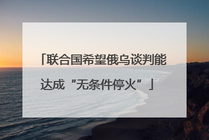 联合国希望俄乌谈判能达成“无条件停火”