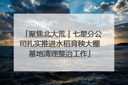 聚焦北大荒｜七星分公司扎实推进水稻育秧大棚基地清理整治工作
