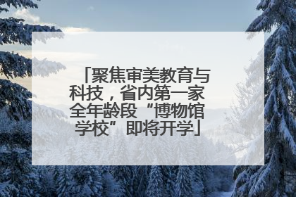 聚焦审美教育与科技，省内第一家全年龄段“博物馆学校”即将开学