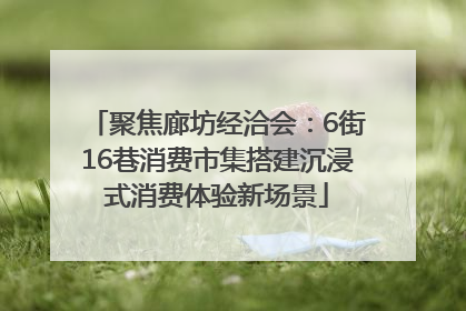 聚焦廊坊经洽会：6街16巷消费市集搭建沉浸式消费体验新场景