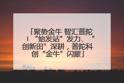 聚势金牛 智汇普陀〡“始发站”发力、“创新田”深耕，普陀科创“金牛”闪耀