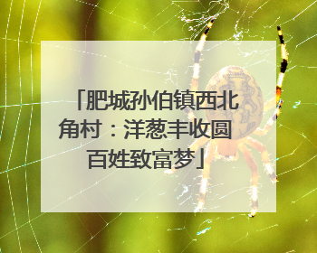 肥城孙伯镇西北角村：洋葱丰收圆百姓致富梦
