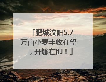 肥城汶阳5.7万亩小麦丰收在望，开镰在即！
