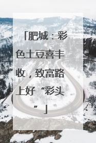 肥城：彩色土豆喜丰收，致富路上好“彩头”