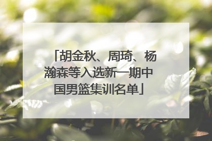 胡金秋、周琦、杨瀚森等入选新一期中国男篮集训名单