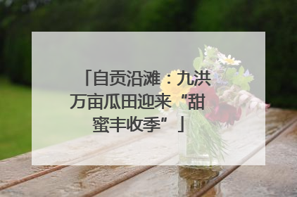 自贡沿滩：九洪万亩瓜田迎来“甜蜜丰收季”