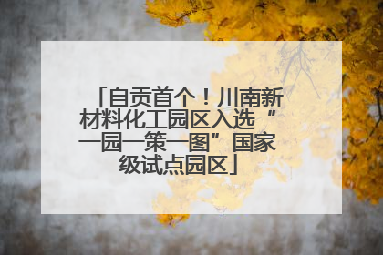 自贡首个！川南新材料化工园区入选“一园一策一图”国家级试点园区