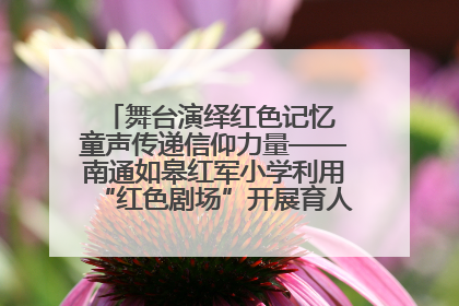 舞台演绎红色记忆 童声传递信仰力量——南通如皋红军小学利用“红色剧场”开展育人实践活动纪实