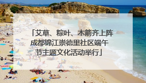 艾草、粽叶、木箭齐上阵 成都锦江崇德里社区端午节主题文化活动举行